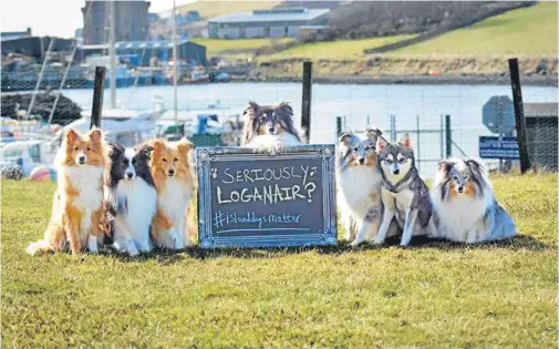  ??  ?? PAWS FOR THOUGHT: Shetland dog owners have criticised a move by Loganair to increase the cost of taking a pet on flights from £10 to £50