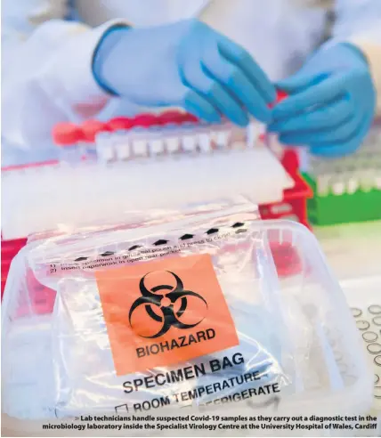  ??  ?? > Lab technician­s handle suspected Covid-19 samples as they carry out a diagnostic test in the microbiolo­gy laboratory inside the Specialist Virology Centre at the University Hospital of Wales, Cardiff