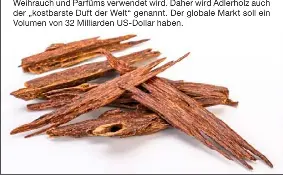 Welches ist das teuerste Holz der Welt? PressReader