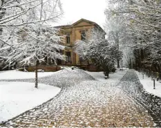  ?? Foto: Silvio Wyszengrad ?? Das Eschentrie­bsterben macht dem Park der Haag‰Villa zu schaffen, etwa 20 Bäume müssen gefällt werden.