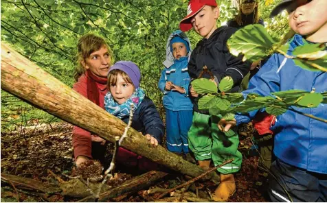  ?? Foto: Bernhard Weizenegge­r ?? Das Montessori Kinderhaus Nornheim will als vierte Gruppe einen Waldkinder­garten eröffnen. 20 Kinder sollen einen speziellen Bauwagen im Birketwald bekommen, der ih nen als Wärme und Ausruhort dient. Die Kinder sind Tag für Tag ganzjährig draußen in...