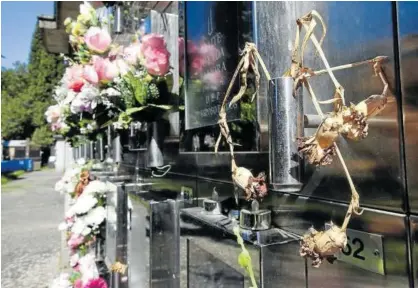  ?? Foto: Javier Bergasa ?? Flores secas tras la larga cuarentena en el cementerio de Pamplona el día de su reapertura.