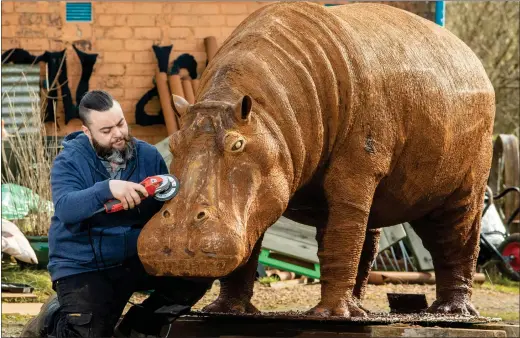  ??  ?? „ Kyran Thomas adds the final touches to a life-size hippopotam­us made entirely out of scrap metal. It was commission­ed by Fife Council and weighs 700kg.