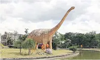  ??  ?? Life-sized statues of classic long-necked herbivorou­s dinosaurs greet visitors to the museum, which is full of displays of prehistori­c animals of all shapes and sizes.