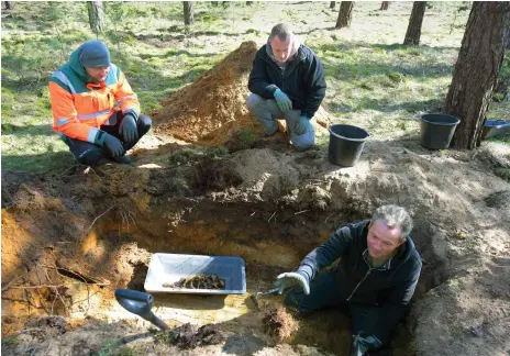  ?? Fotos: nd/Ulli Winkler ?? In einem Waldstück bei Halbe legt Joachim Kozlowski die sterbliche­n Überreste eines gefallenen Soldaten frei.