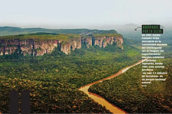  ??  ?? ARROPADAS POR LA SELVA En 1987, Carlos Castaño Uribe descubrió en la colombiana serranía del Chiribique­te (en la imagen) los espectacul­ares murales cubiertos de pinturas rupestres. Desde 1989, este enorme territorio–de casi 1,5 millones de hectáreas– es un parque nacional natural.