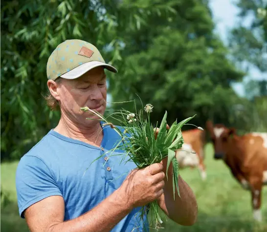  ?? CRAIG BROWN PHOTOGRAPH­Y ?? Organic Dairy Hub Co-operative member Gavin Fisher has grave concerns about the field trials of geneticall­y-modified pasture and crops taking place in the Waikato.