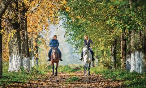  ?? FOTO: THINKSTOCK ?? Ein Ausritt durch den Wald: Städte und Kreise können selbst entscheide­n, ob sie Wege freigeben wollen.