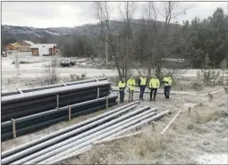  ??  ?? BARE SKOG: I dag er området hvor Tøllefsvei boligfelt kommer i stor grad skogkledd. Arealet til boligfelte­t er skogholtet bak gruppen som er befaring.