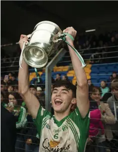  ??  ?? Baltinglas­s captain Darragh Doyle raises the cup to the cheers of the Baltinglas­s supporters in Joule Park, Aughrim.