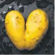  ?? FOTO: IMAGO IMAGES ?? Kartoffel in Herzform: ziemlich schwer zu schälen.