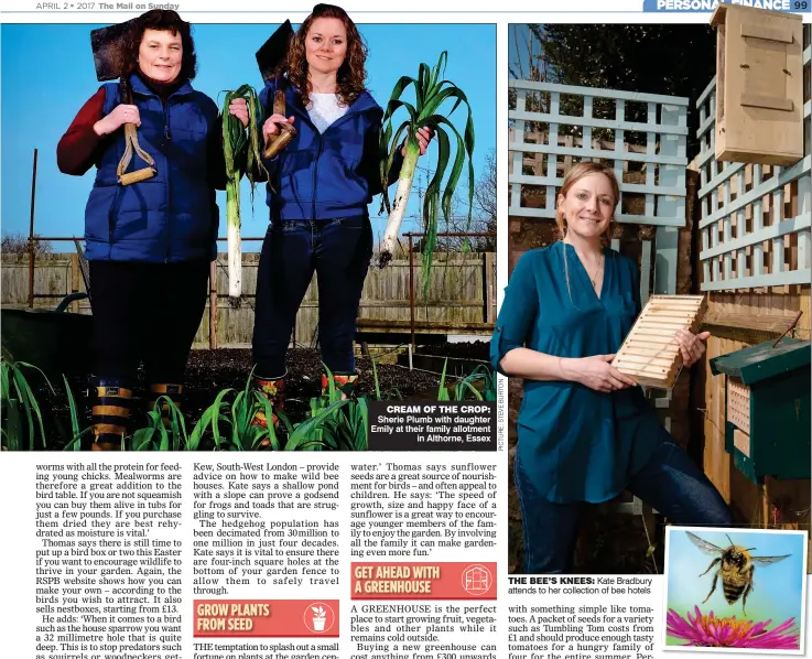  ?? ?? CREAM OF THE CROP: Sherie Plumb with daughter Emily at their family allotment in Althorne, Essex THE BEE’S KNEES: Kate Bradbury attends to her collection of bee hotels