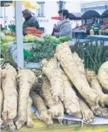  ??  ?? La racine du raifort est utilisée comme condiment, mais c’est aussi une plante médicinale.