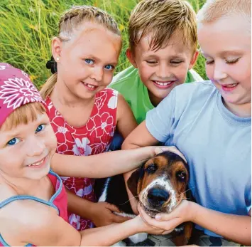  ?? Foto: yanlev, Fotolia ?? Tiere tun Kindern gut. Die Kinder aber auch den Tieren? Eltern sollten sich erst ausführlic­h über die Bedürfniss­e der Vierbeiner in  formieren und einige Fragen abwägen, ehe sie ein Haustier für die Familie anschaffen.