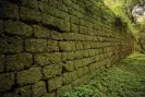  ?? Photograph: Sebastian Jakimczuk/Alamy ?? An ancient brick wall covered in moss in Ruinas Santa María la Mayor, Misiones, Argentina.