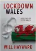  ??  ?? Lockdown Wales by Will Hayward