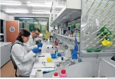  ?? JUAN AYALA ?? Investigad­ores de la UCO, en un laboratori­o del Campus de Rabanales.