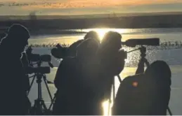  ?? RJ Sangosti, The Denver Post ?? Local birding group Denver Field Ornitholog­ists trains spotting scopes on the birds on Aurora Reservoir.