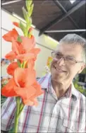 ?? FM4438655 ?? Peter Ellis won a first for his gladioli – among other successes