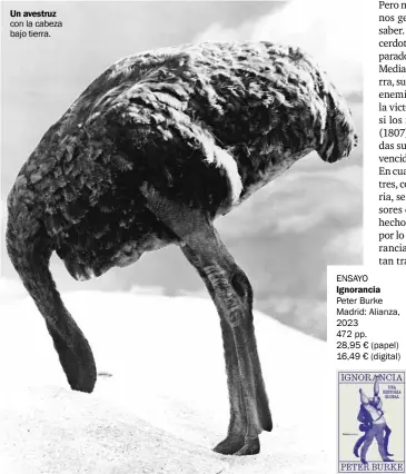  ?? ?? Un avestruz con la cabeza bajo tierra. ENSAYO Ignorancia
Peter Burke Madrid: Alianza, 2023
472 pp. 28,95 € (papel) 16,49 € (digital)