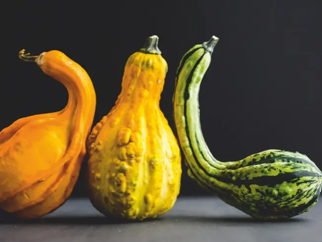  ??  ?? Above: Bitter gourd Momordica charantia makes a colourful display. Below: A variety of pumpkins on display in Las Vegas, USA