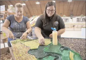  ?? BEA AHBECK/NEWS-SENTINEL FILE PHOTOGRAPH ?? Omega Nu’s Julie Pilcher and Brennan Mallory work on their mural as the grape murals are built Sept. 12, 2017, at the fairground­s in Lodi in preparatio­n of the Grape Festival.