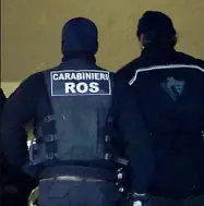  ??  ?? Arresti
L’operazione Taurus è stata effettuata dai carabinier­i del Ros