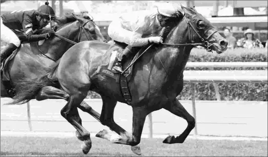  ?? BENOIT PHOTO ?? Proud Pedro enters Saturday’s Let It Ride Stakes off a four-month layoff during which he was treated to correct stringhalt.