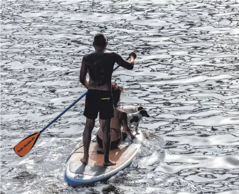  ?? SYMBOLFOTO: DPA ?? Stand-up-Paddleboar­ds sind auf dem Steidle-See verboten. Die Regelung durchzuset­zen, ist für Pächterin Andrea Reutter nicht ganz einfach.