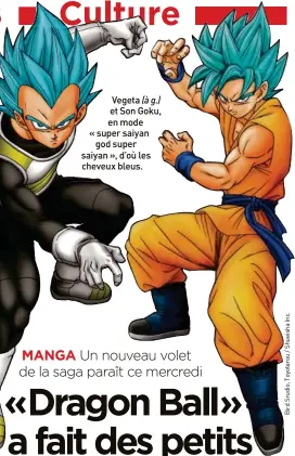  ??  ?? Vegeta (à g.) et Son Goku, en mode « super saiyan god super saiyan », d’où les cheveux bleus.