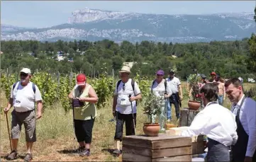  ??  ?? Cinq étapes gourmandes ponctuent le parcours des participan­ts, où les attendent traiteurs et producteur­s aux petits soins. La belle vie !