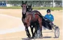  ?? SUN SENTINEL FILE ?? Wally Hennessey works out two of his 13 horses on the practice track at Pompano Park Harness Track. A bill moving through the Florida Legislatur­e would end harness racing at the park.