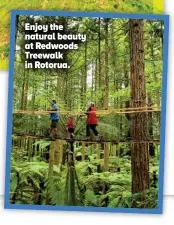  ??  ?? Enjoy the natural beauty at Redwoods Treewalk in Rotorua.