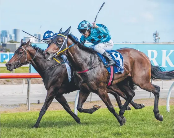  ?? Picture: JERAD WILLIAMS ?? Jockey Chris Whiteley drives Absolutlyp­ositivly (No.8) home ahead of Friends at the Gold Coast.