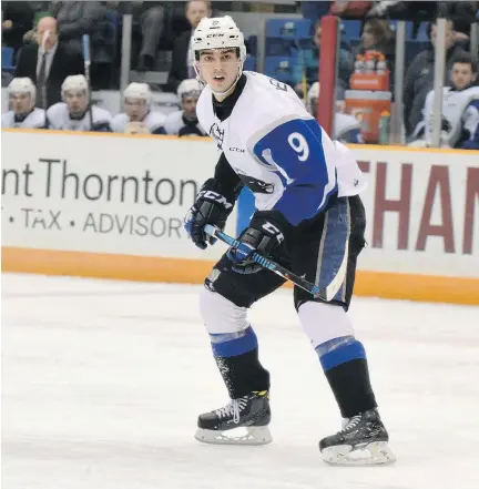  ?? DAVID CONNELL/SAINT JOHN SEA DOGS ?? Kirkland’s Joe Veleno became the first player granted exceptiona­l status in the QMJHL two years ago, allowing him to enter junior as a 15-year-old. Now he has a chance to win the Memorial Cup with the Saint John Sea Dogs after helping them win the QMJHL title.