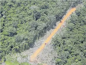  ?? REUTERS ?? Amazonas. Pista clandestin­a usada por de traficante­s de oro.