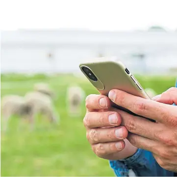  ?? ?? HANDS ON: The new Breedr app now helps sheep farmers store vital flock data.