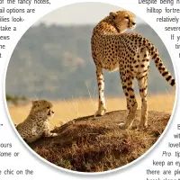  ??  ?? The Mara, as it is known, was first establishe­d as a wildlife sanctuary in 1961.