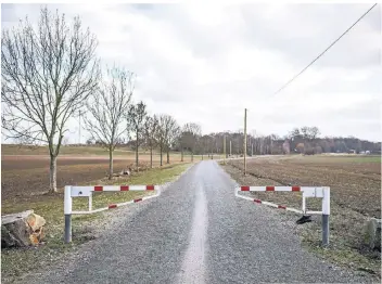  ?? FOTO: LARS FRÖHLICH ?? Dieses Areal gegenüber dem Businesspa­rk Niederrhei­n soll laut Beschluss der Bezirksver­tretung Rheinhause­n Grünfläche bleiben.