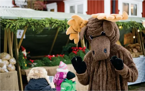  ?? Bild: CHRISTIAN FLODIN ?? JULÄLG. Älgen, ett populärt inslag på julmarknad­en på Bergagårde­n.