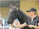  ??  ?? A Bettors Delight colt from Pemberton Shard sold for $170,000.