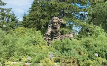  ?? JULIA RUBIN/AP ?? A sculpture of Swedish botanist, zoologist and physician Carolus Linnaeus stands in the Heritage Garden of the Chicago Botanic Garden in Glencoe, Illinois. Linnaeus created rules for classifyin­g and naming plants.