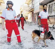 ?? Foto: AFP / Atta Kenare ?? Anfangs waren Rettungskr­äfte mit Spürhunden noch auf der Suche nach möglichen Überlebend­en. Diese Einsätze hat der Iran mittlerwei­le eingestell­t.