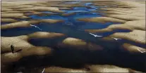  ?? VICTOR CAIVANO — THE ASSOCIATED PRESS ?? In a surreal scene: The exposed riverbed of the Old Parana River, a tributary of the Parana River, with birds and a photograph­er during a drought in Rosario, Argentina, in 2021.