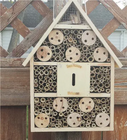  ?? ANNE HEATHEN ?? Solitary bee houses come in many shapes and sizes. This bee “mansion” is the bee’s knees.