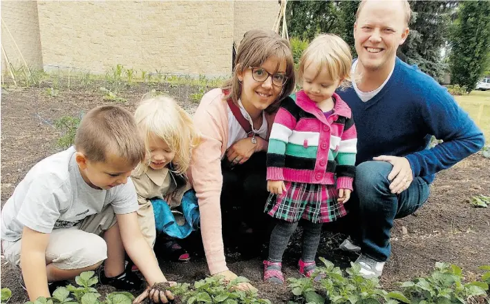  ?? Chris Standring/Edmonton Journal ?? Jennifer and Mark Postma with daughters Celina and Maggie, along with friend Cashtion, tend potatoes they helped plant at St. Andrews United Church. The couple is part of the millennial generation that Brian Minter says has different gardening...