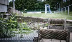  ?? FOTO PATRICK SMETS ?? Stormvogel­s Rosmeer stopte vorig seizoen. De gemeente verhuurt de velden momenteel aan een veteranenp­loeg.