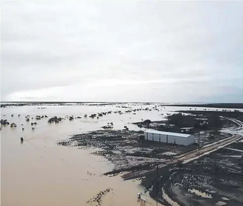  ?? Picture: AFP PHOTO/ANTHONY ANDERSON ?? DEVASTATIO­N: This flood-affected area near Julia Creek was among many in northweste­rn Queensland to lose cattle – weakened from a severe drought – in record-breaking floods in February.