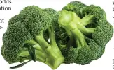  ??  ?? Broccoli...rich in vitamin K