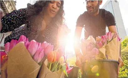  ?? CARLOS OSORIO/TORONTO STAR ?? Supporters of Ebrahim Toure placed 1,915 tulips outside Osgoode Hall on Thursday, one for every day he has been detained.